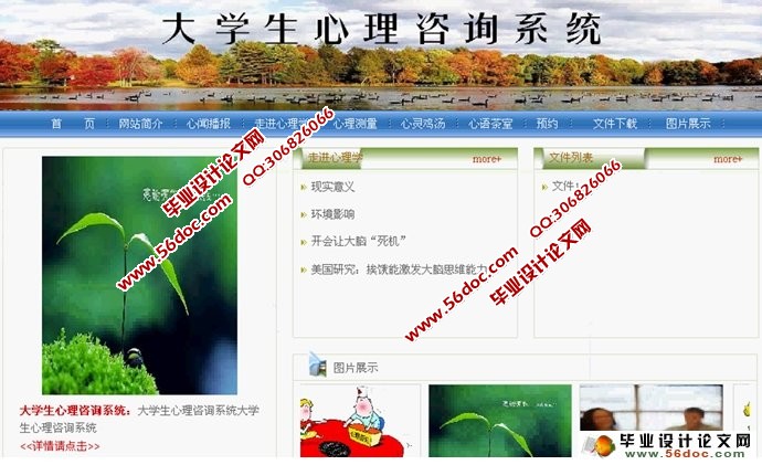 大学生心理咨询网站系统的设计与实现(ASP.NET,SQL)