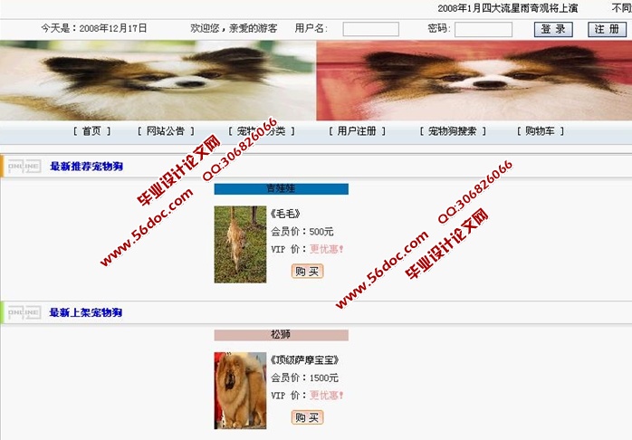 宠物狗销售管理系统的设计与实现(JSP,servlet,SQLServer)