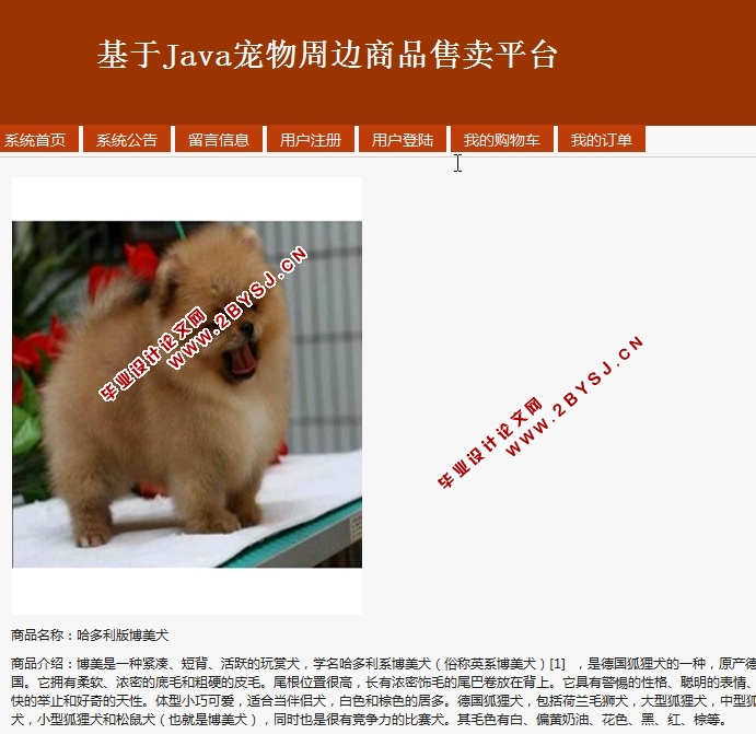 基于Java宠物周边商品售卖平台的设计与实现(SSH,MySQL)(含录像)