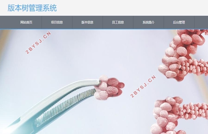 版本树管理系统的设计与实现(VUE,Springboot,MySQL)