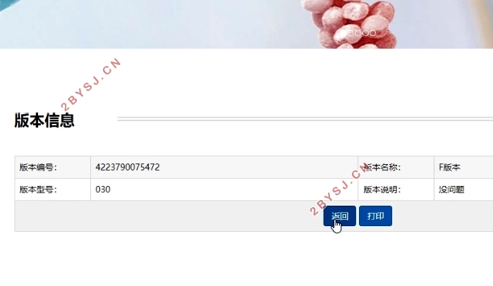 版本树管理系统的设计与实现(VUE,Springboot,MySQL)