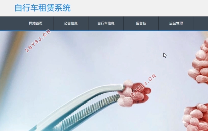 自行车租赁系统的设计与实现(VUE,Springboot,MySQL)
