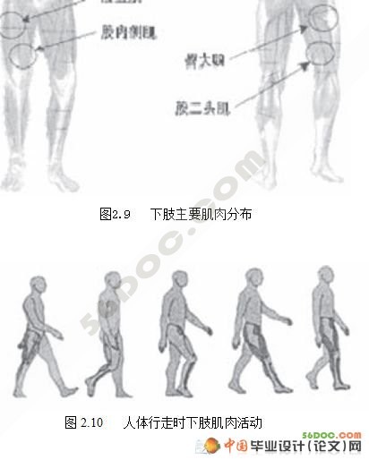 截瘫患者用下肢康复医疗机器人设计(CAXA+PROE三维造型)