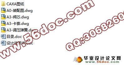 大流量安全阀设计(CAD,CAXA图)
