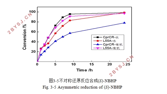 羰基还原酶CprCR催化性能提高的定点突变分子改造
