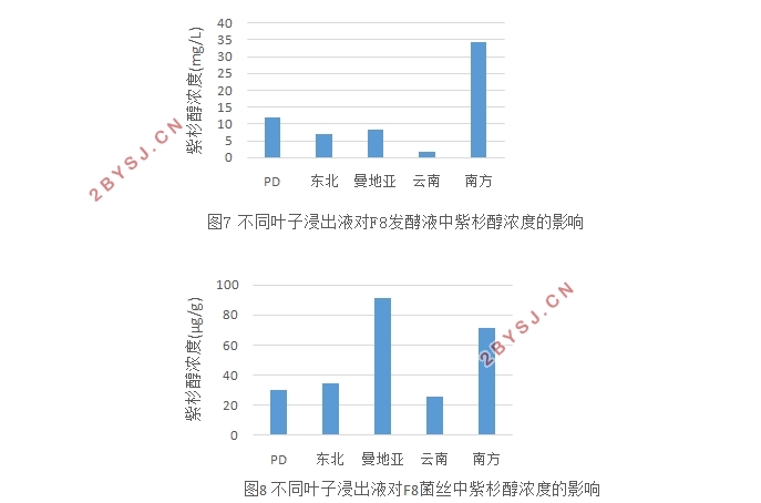 红豆杉叶子浸出液对内生真菌产紫杉醇含量的影响