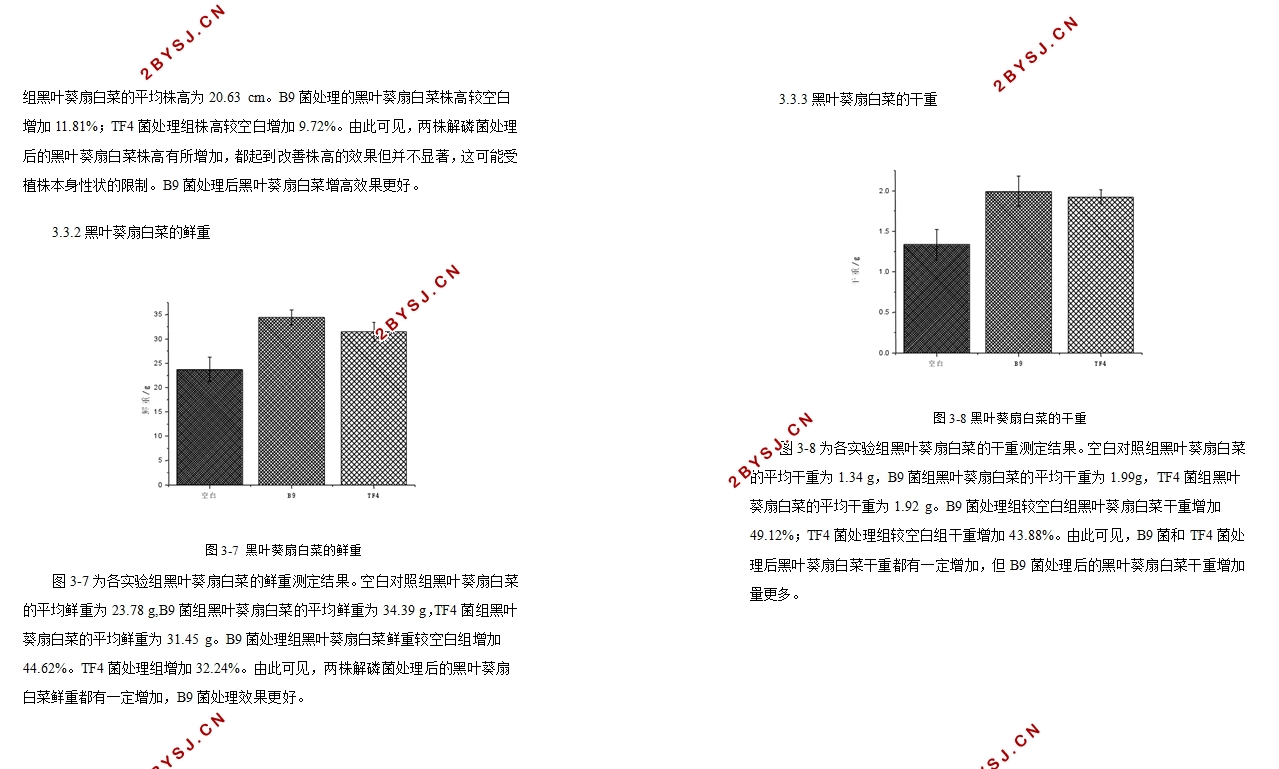 解磷菌株的筛选与促生效应的研究