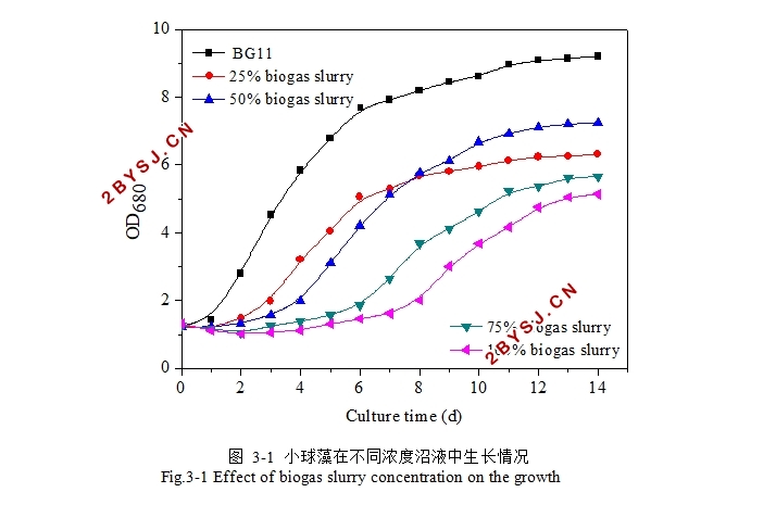 小球藻的营养成分分析