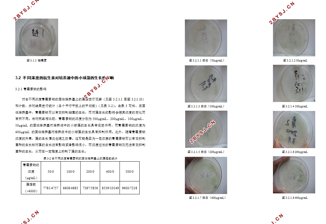 小球藻对四种抗生素耐受性的研究