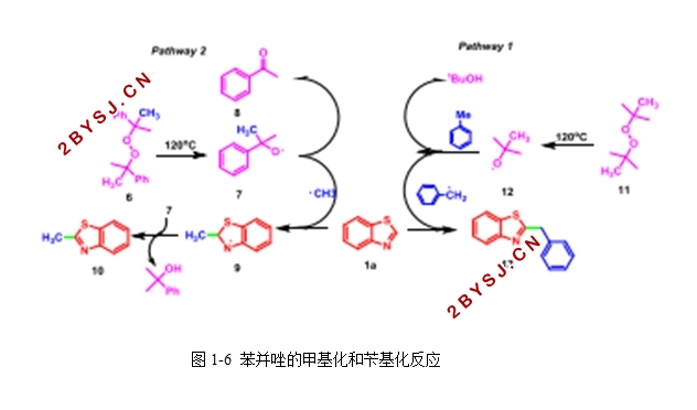 2-苄基苯并噁唑类化合物的合成研究
