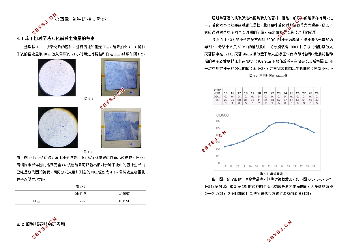制备D-对羟基苯甘氨酸菌种的筛选优化